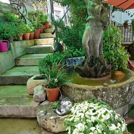 Casa Paco Pensionat El Bosque Eksteriør billede