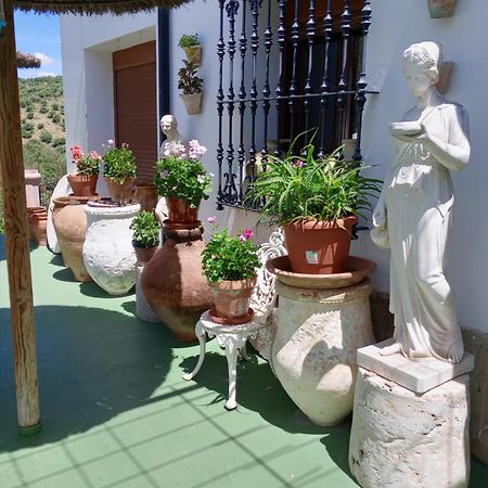 Casa Paco Pensionat El Bosque Eksteriør billede